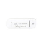 مودم یو اس بی رایمون مدل USB-4G