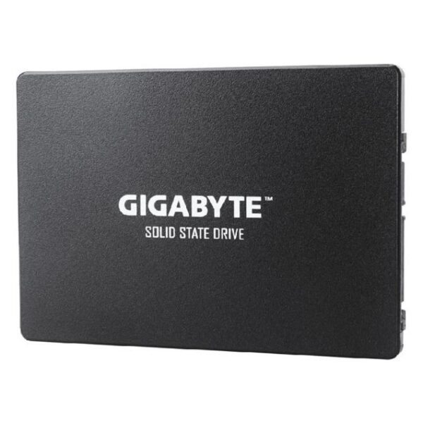 هارد SSD اینترنال گیگابایت مدل GP-GSTFS31256GTND ظرفیت 256 گیگابایت