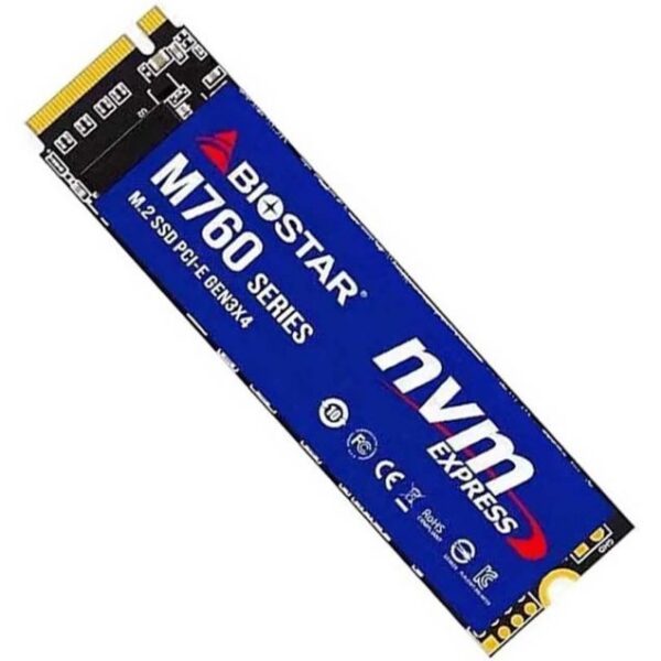 هارد اینترنال اس اس دی M.2 NVMe بایوستار مدل M760 ظرفیت 256 گیگابایت